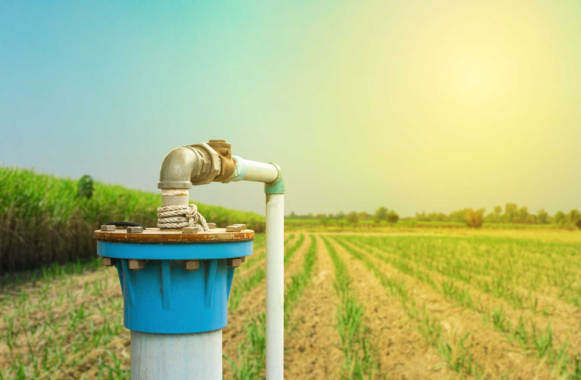 Drilling an artesian well and distributing water with PVC pipes Groundwater pumping system uses electrical energy to solve drought problems in sugarcane fields.